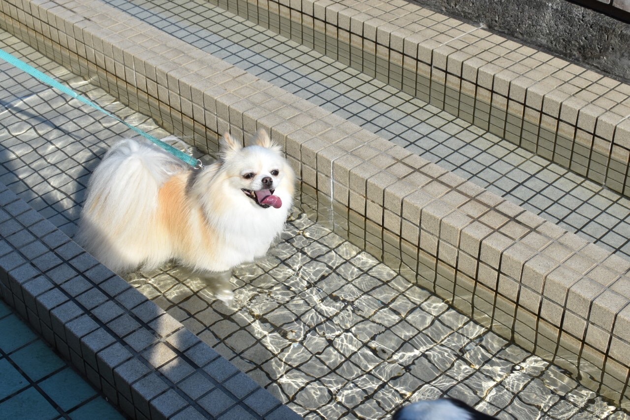 f:id:mnmr12030:20210131000254j:image f:id:mnmr12030:20210131000254j:image
