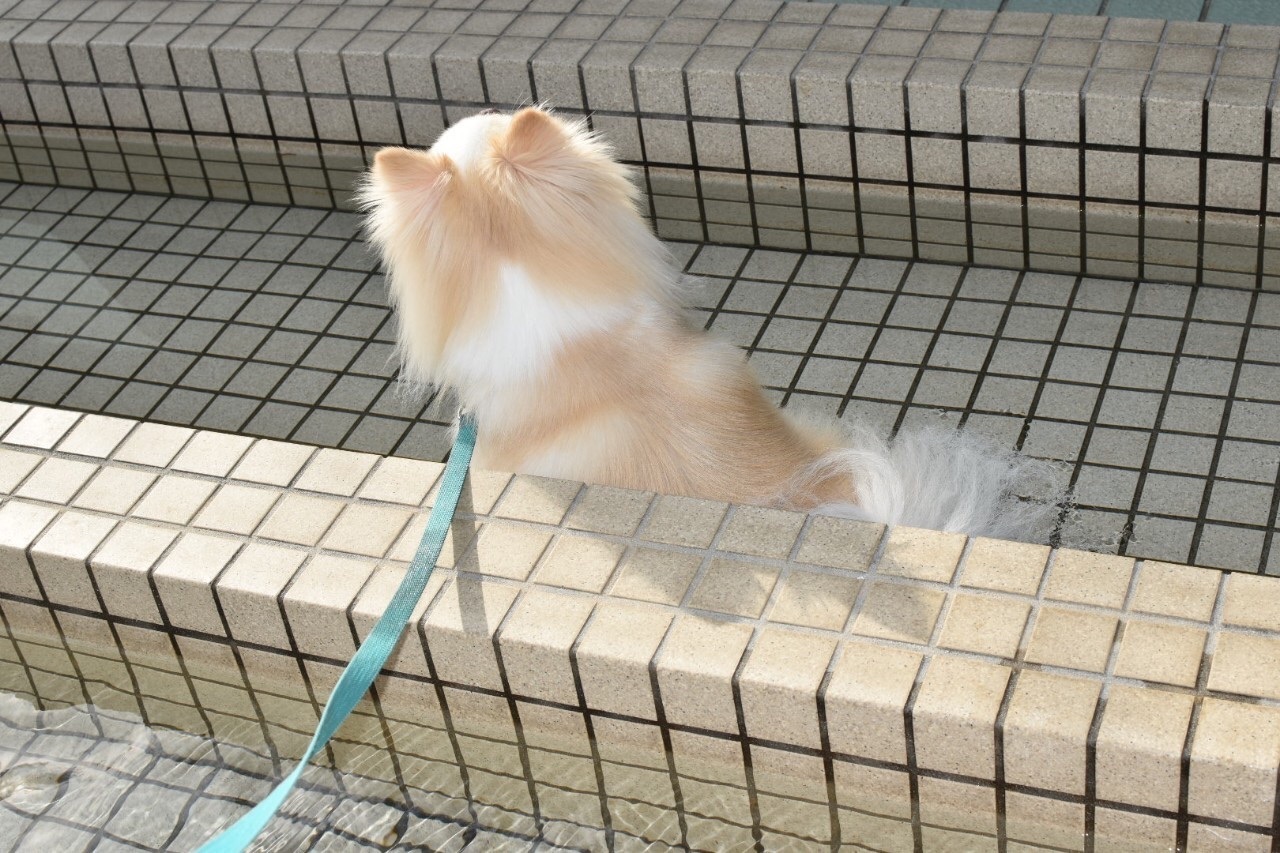 f:id:mnmr12030:20210131000305j:image f:id:mnmr12030:20210131000305j:image