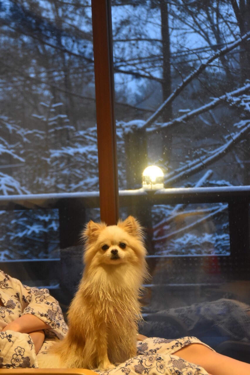 f:id:mnmr12030:20210131000646j:image f:id:mnmr12030:20210131000646j:image