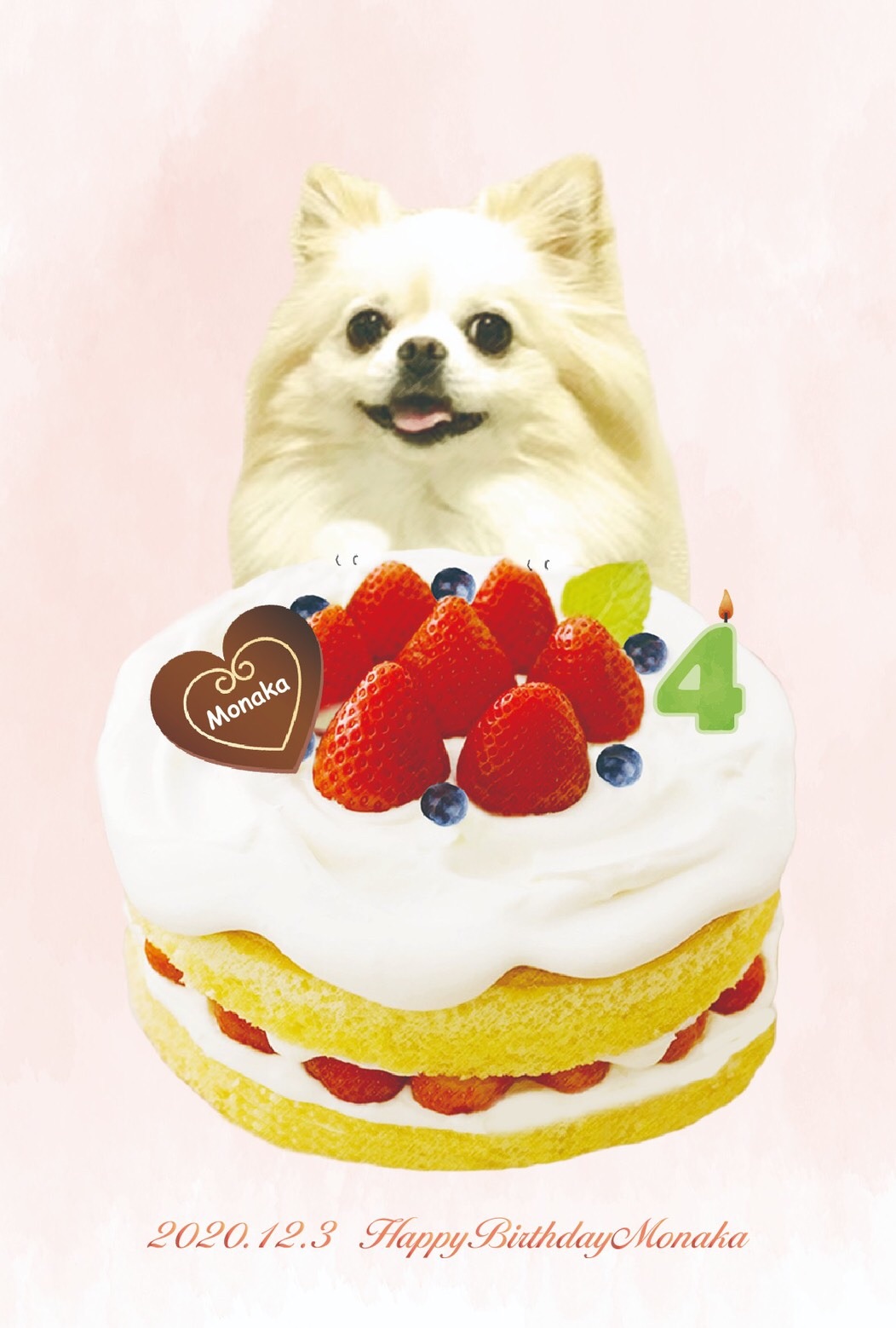 f:id:mnmr12030:20210131000834j:image f:id:mnmr12030:20210131000834j:image