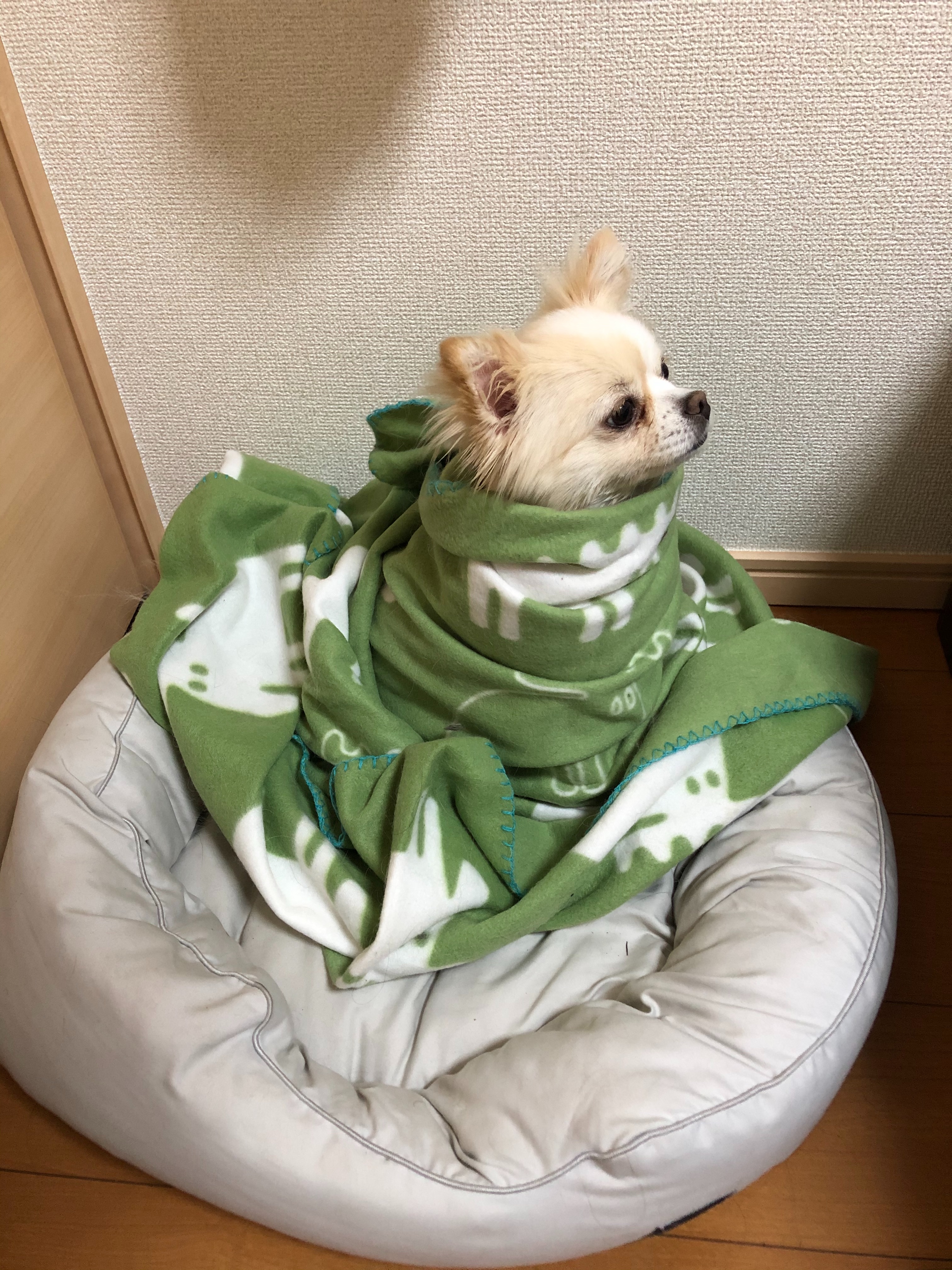 f:id:mnmr12030:20210131001218j:image f:id:mnmr12030:20210131001218j:image