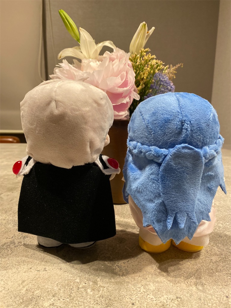 家庭科で作ったぬいぐるみ こいし on X: 