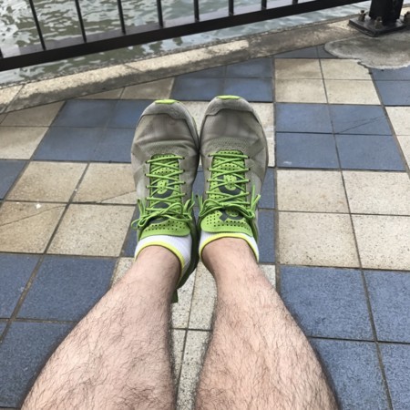 f:id:mnoguti:20170806121413j:plain