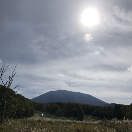 f:id:mnoguti:20171001162915j:plain