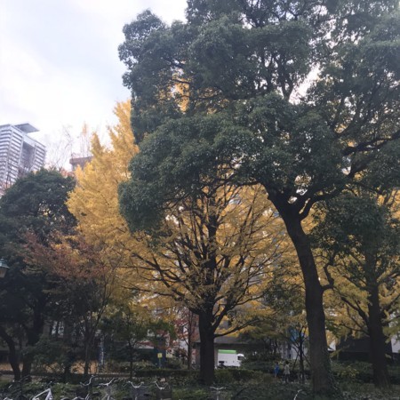 f:id:mnoguti:20171126104414j:plain