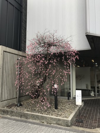 f:id:mnoguti:20180211151340j:plain