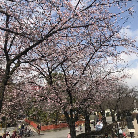 f:id:mnoguti:20180311172700j:plain