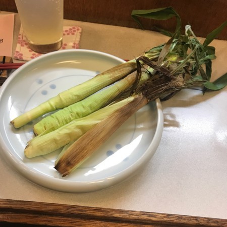 f:id:mnoguti:20180523224858j:plain