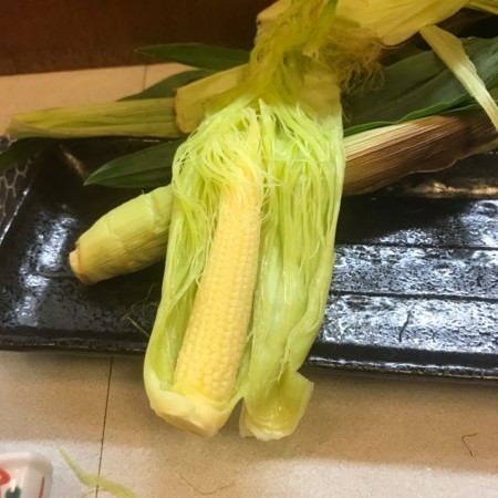 f:id:mnoguti:20180523225750j:plain