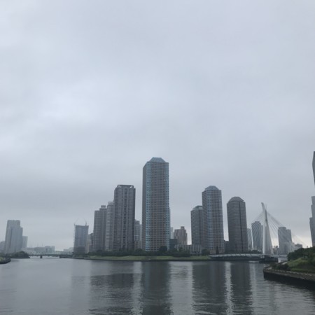 f:id:mnoguti:20180728143753j:plain