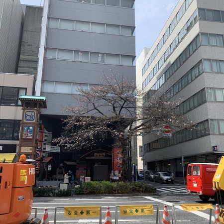 f:id:mnoguti:20190323131442j:plain