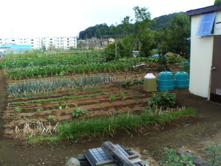 f:id:mnoguti:20200506101844j:plain