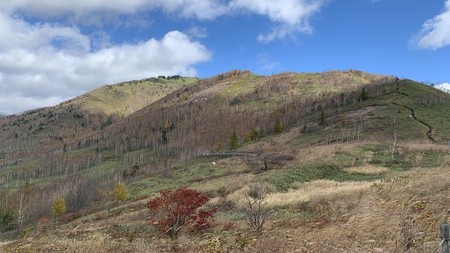 周辺の山 すっかり葉が落ちて 冬を待つ