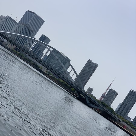 築地大橋、東京タワー