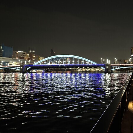 Usual Scene 2: Komagata Bridge