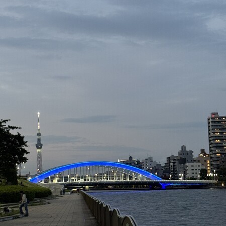 Eitai Bridge and Tokyo Skytree... They look beautiful at dusk too