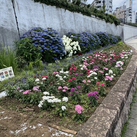 On the right bank of the Sumida River Terrace, near the south side of Ryogoku Bridge