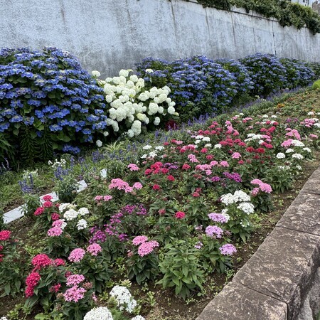 The flower beds at Sumida River Terrace are also beautifully maintained