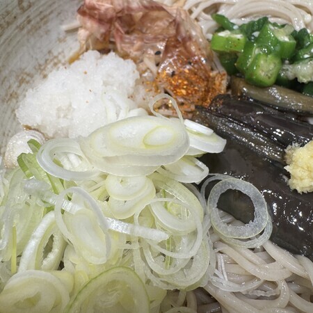Top it off with some chopped spring onions and shichimi