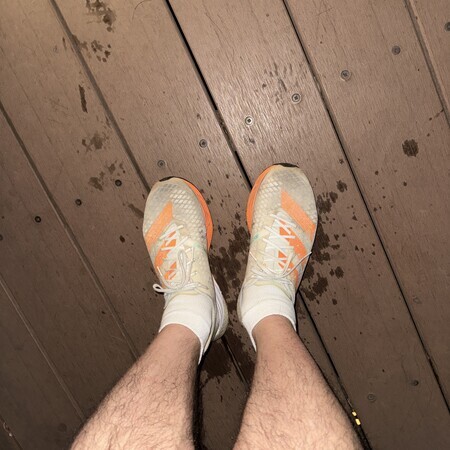 Today's Running Shoes: adizero Pro