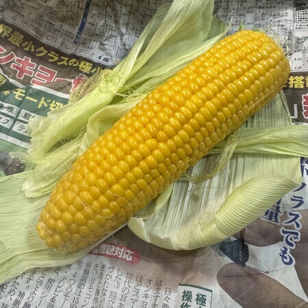 A delicious-looking ear of sweetcorn with evenly sized kernels
