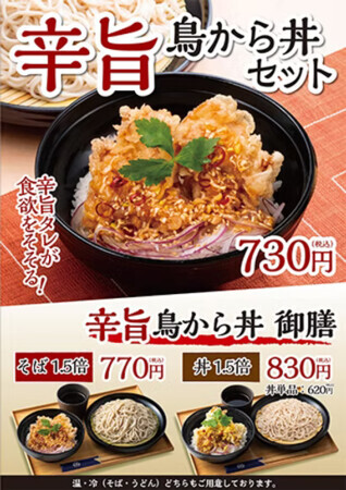Spicy and Savoury Chicken Karaage Rice Bowl Set (Large Portion)! Photo courtesy of the website.