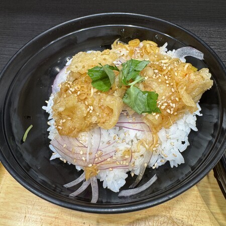 Two pieces of chicken… topped with a spicy and savoury sauce