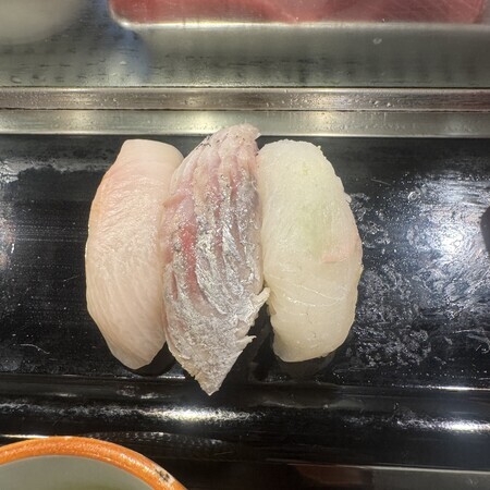 Flounder, horse mackerel, amberjack