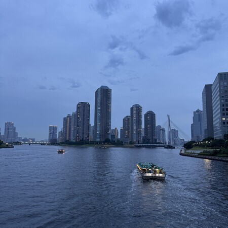 Can you tell from the photo that it looks quite humid?
