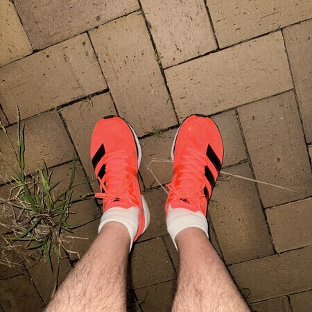 Today’s running shoes: adizero Japan 5