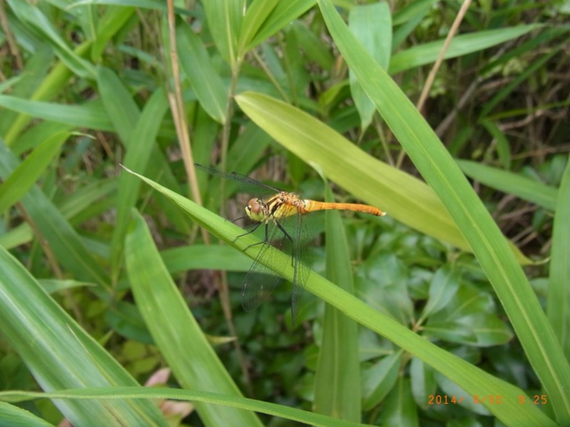 20140630092519