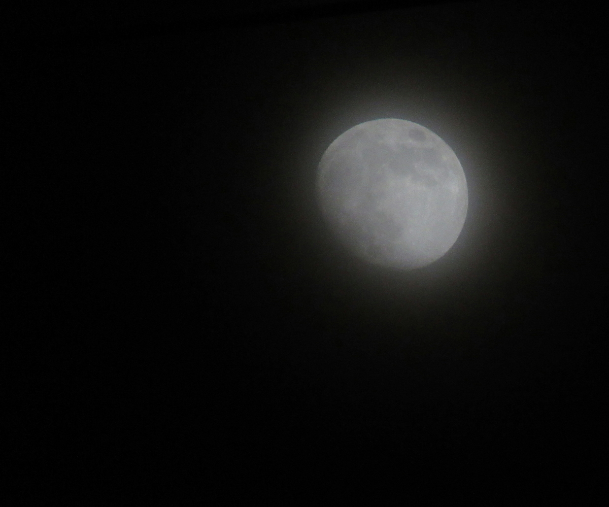 朧月夜 Mnumeda S Diary