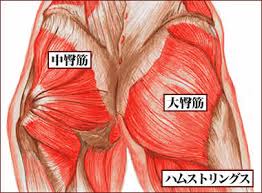 f:id:mnuts:20161106174733j:plain