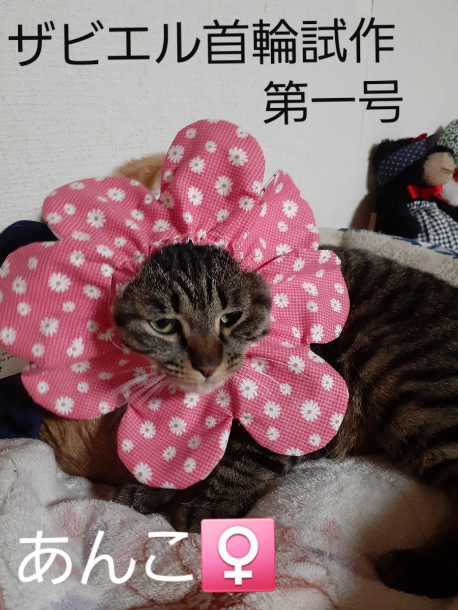 猫首輪　ザビエル首輪　子猫ちゃん用３０枚 ザビエル首輪 子猫ちゃん用30枚 - メルカリ