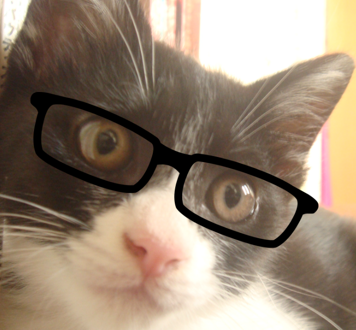 f:id:mo88mo:20160809101041p:plain