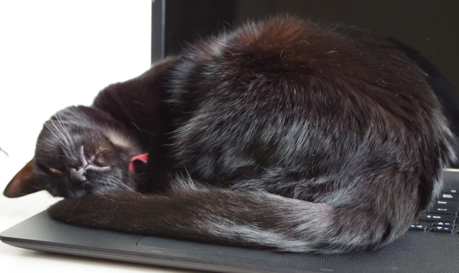 f:id:mo88mo:20161009163357p:plain