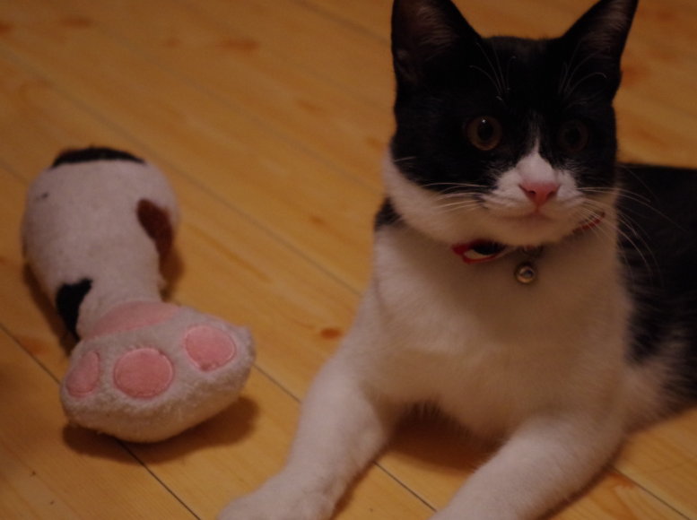 f:id:mo88mo:20161123163116p:plain