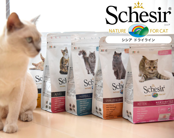 f:id:mo88mo:20161202075150p:plain