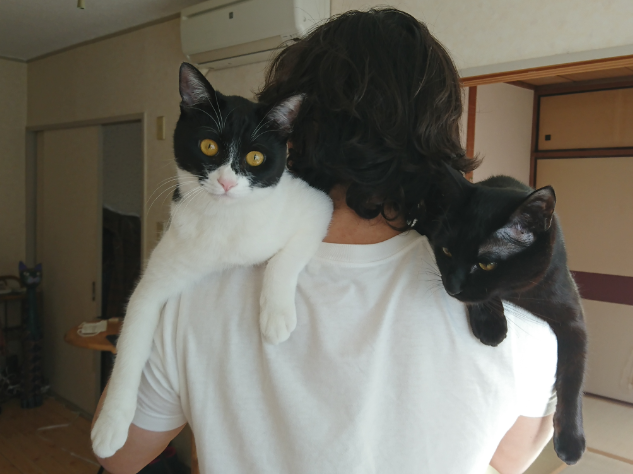 f:id:mo88mo:20170420163818p:plain