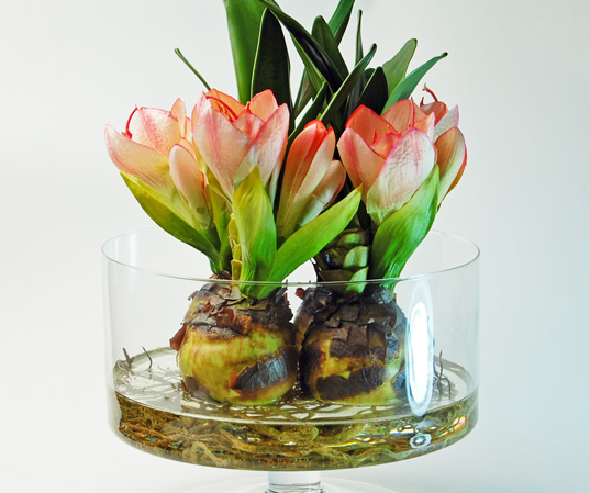 f:id:mo88mo:20170607090635p:plain