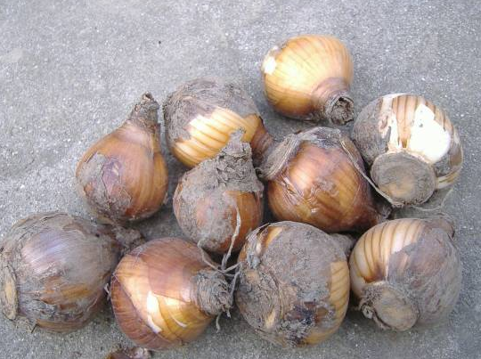 f:id:mo88mo:20170607090926p:plain