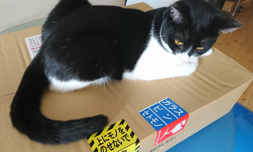 f:id:mo88mo:20170704162855p:plain