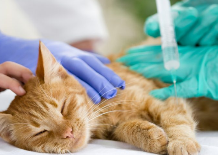 f:id:mo88mo:20171026123240p:plain