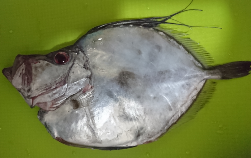 f:id:mo88mo:20171220170135p:plain