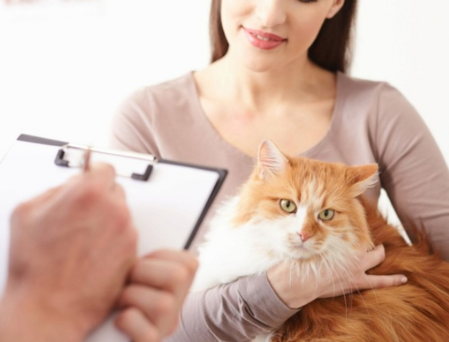 f:id:mo88mo:20171227151803p:plain