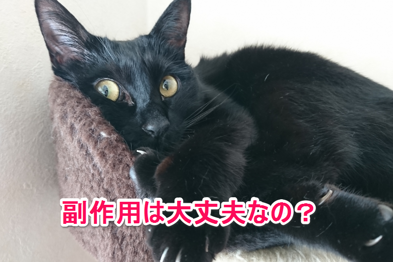 f:id:mo88mo:20171228061933p:plain