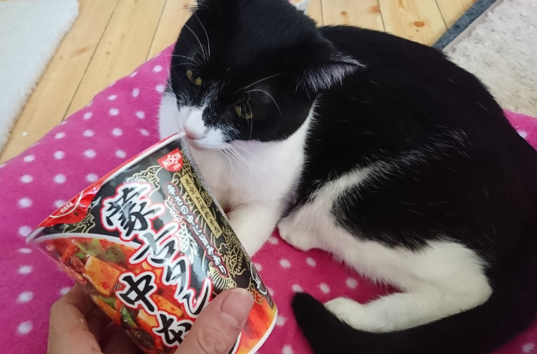 蒙古タンメンカップ麺はうまい カロリーやアレンジは うれしい家ごはんレシピと猫