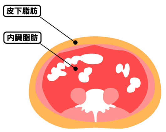 f:id:mo88mo:20180112075018p:plain f:id:mo88mo:20180112075018p:plain