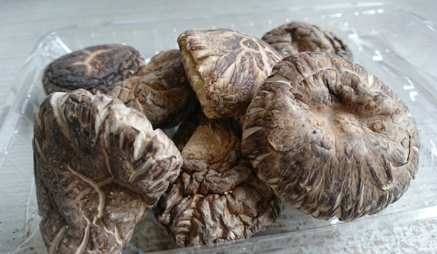 干し椎茸の栄養と戻し汁の効能は うれしい家ごはんレシピと猫 干し椎茸の栄養と戻し汁の効能は うれしい家ごはんレシピと猫