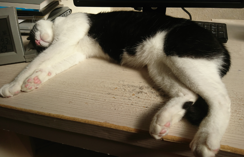 f:id:mo88mo:20180531154303p:plain